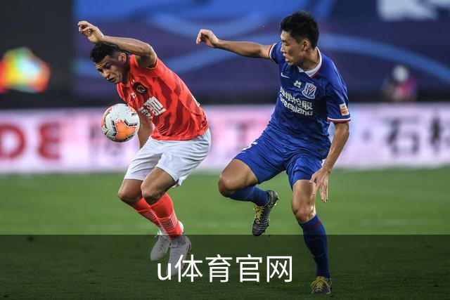 u体育官网公司简介